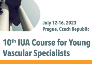 Read more about the article Course for Young Vascular Specialists