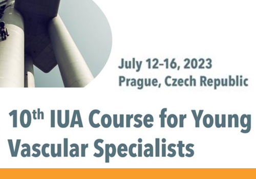 You are currently viewing Course for Young Vascular Specialists