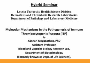 Read more about the article Hybrid Seminar – December 2, 2024 Molecular Mechanisms in the Pathogenesis of Immune Thrombocytopenic Purpura (ITP)