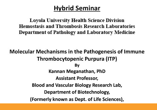 You are currently viewing Hybrid Seminar – December 2, 2024 Molecular Mechanisms in the Pathogenesis of Immune Thrombocytopenic Purpura (ITP)