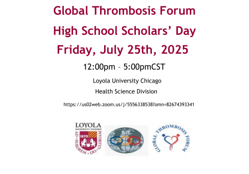 Read more about the article High School Scholars’ Day